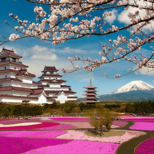 5 Lake of Fuji San